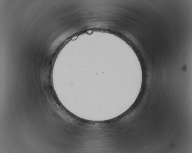 X0000115780922200912241807