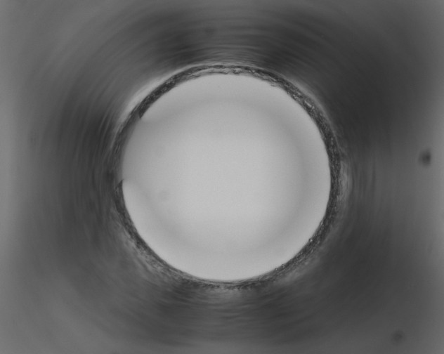 X0000115780925200912241807