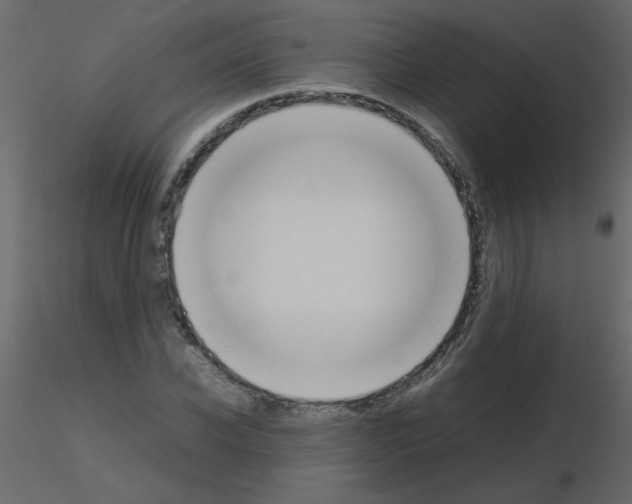 X0000115780926200912241807