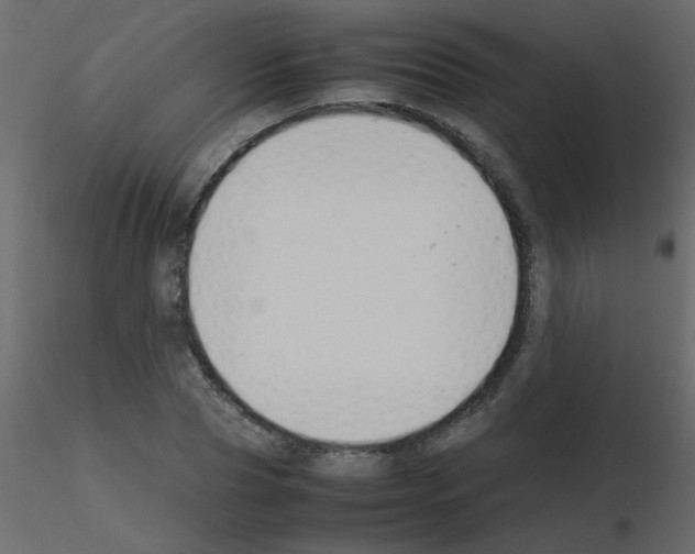 X0000115780929200912241807