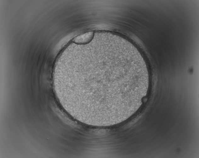 X0000115780930200912241807