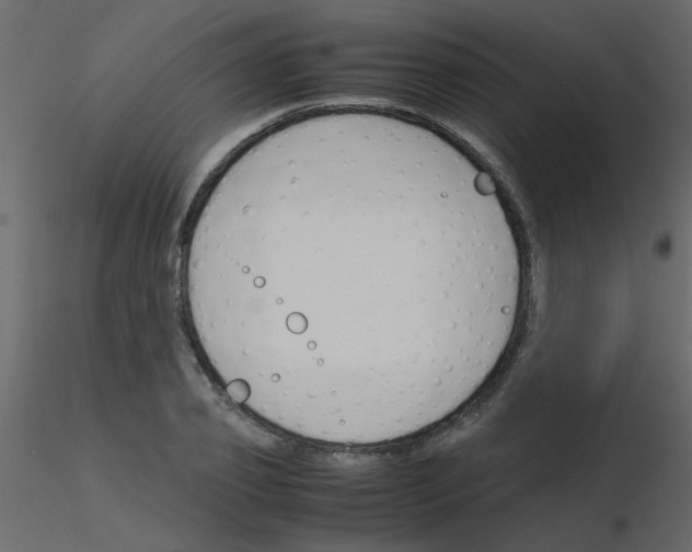 X0000115780933200912241808