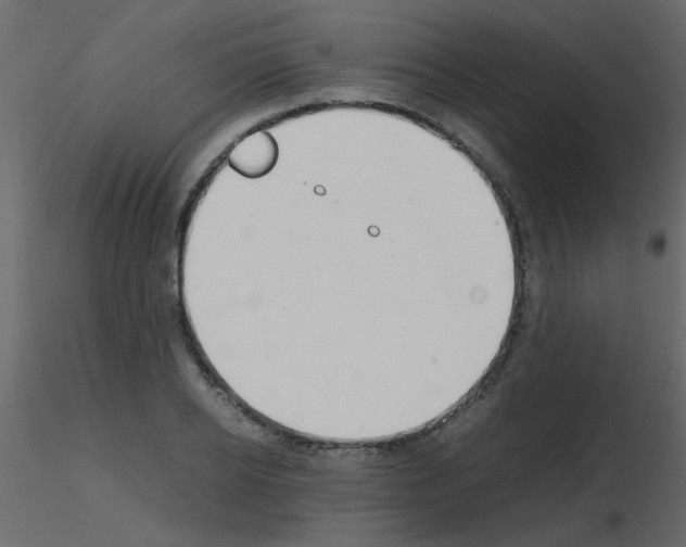 X0000115780934200912241808