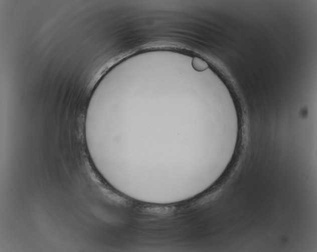 X0000115780937200912241808