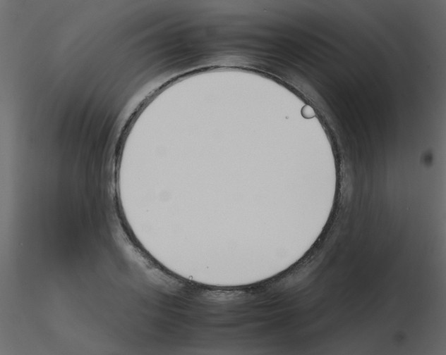 X0000115780939200912241808