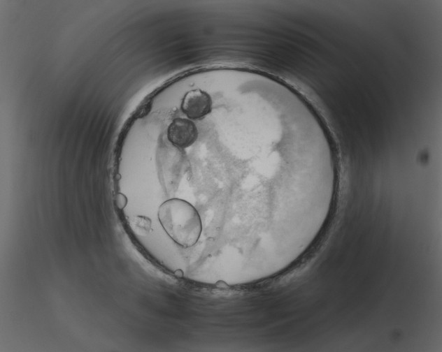 X0000115780941200912241808