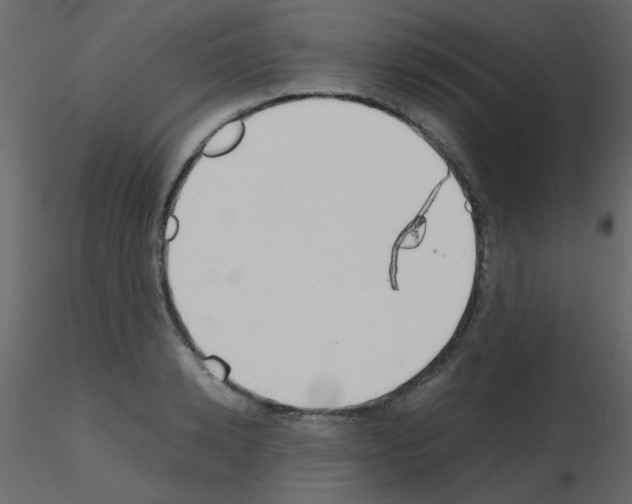 X0000115780942200912241808