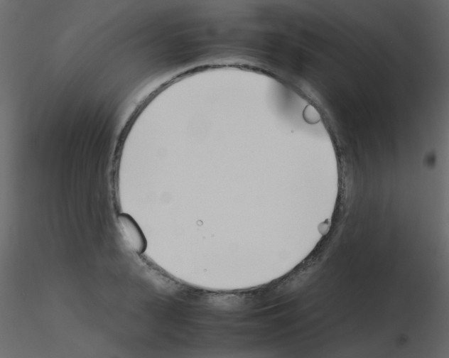 X0000115780943200912241808