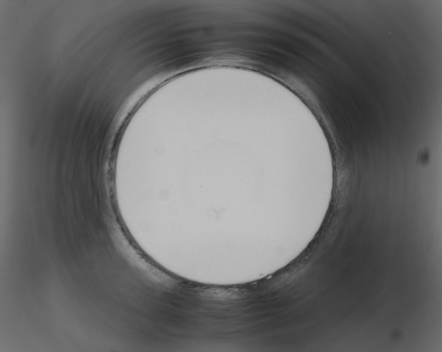 X0000115780947200912241808