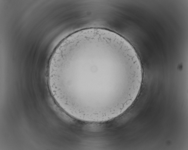 X0000115780950200912241808