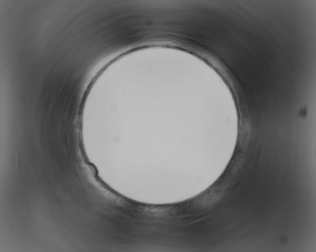 X0000115780951200912241808