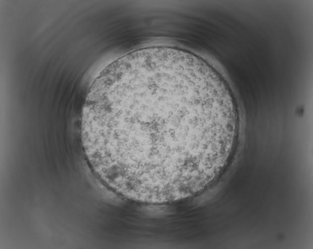 X0000115780953200912241808