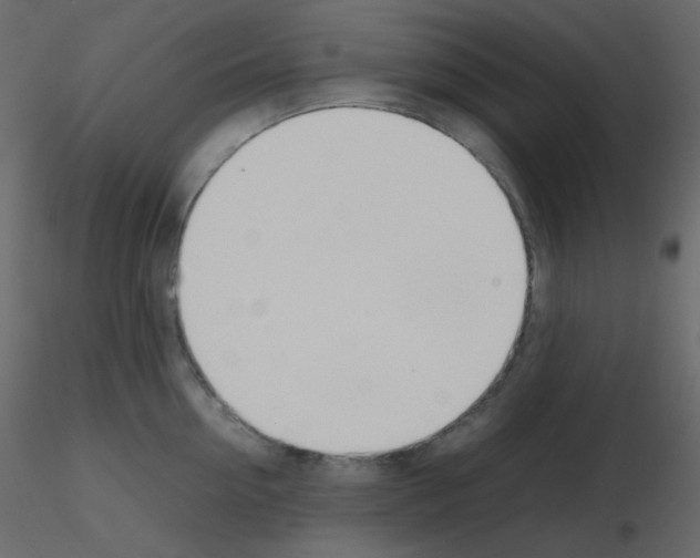 X0000115780954200912241808