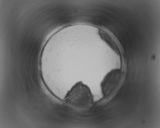 X0000115780957200912241808