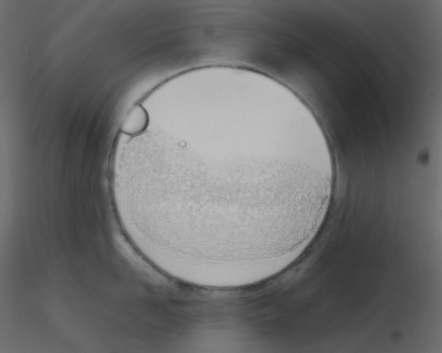 X0000115780958200912241808