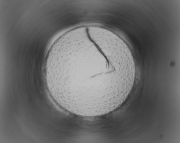 X0000115780959200912241808