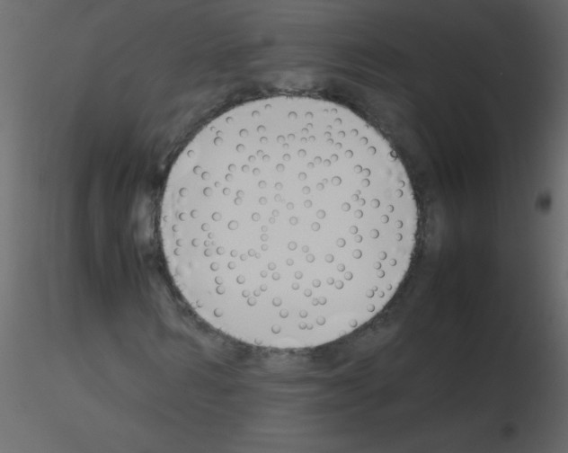 X0000115780962200912241807