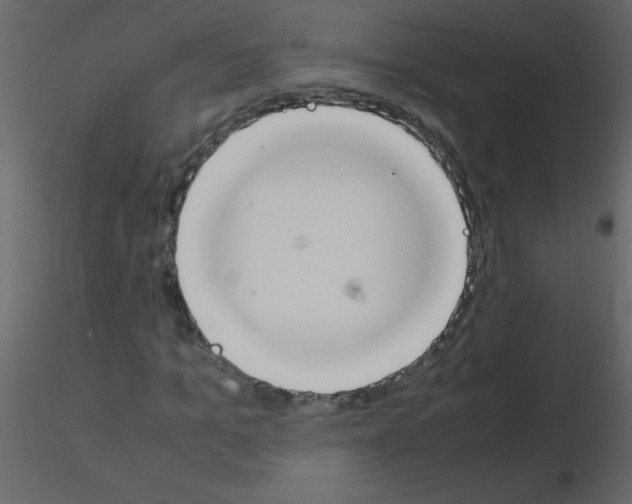 X0000115780965200912241807