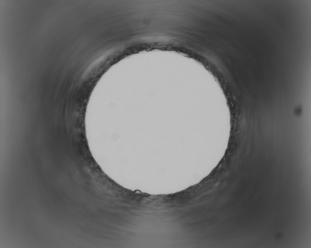 X0000115780967200912241807