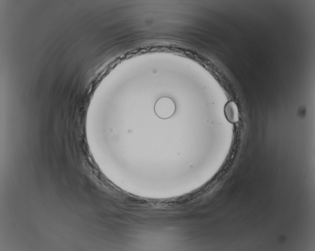 X0000115780969200912241807