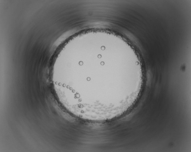 X0000115780970200912241807