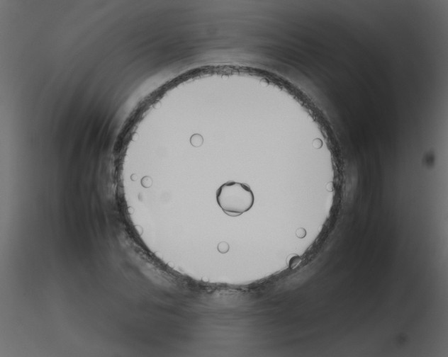 X0000115780974200912241807