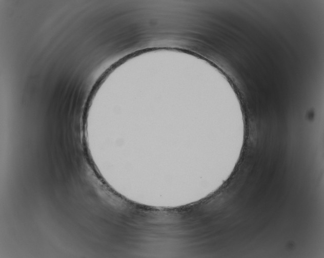 X0000115780980200912241807