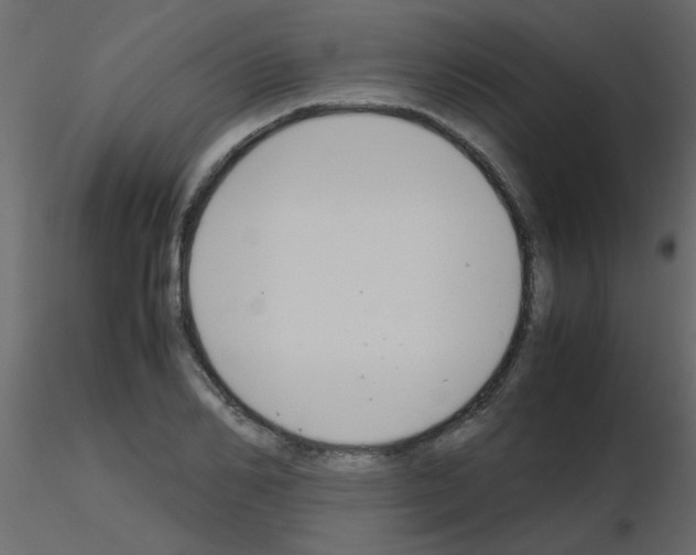 X0000115780982200912241807