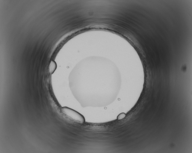 X0000115780984200912241807