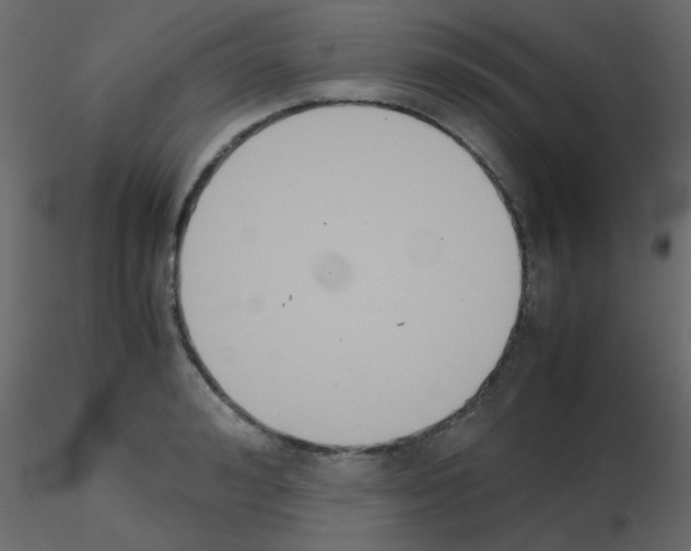 X0000115780992200912241807