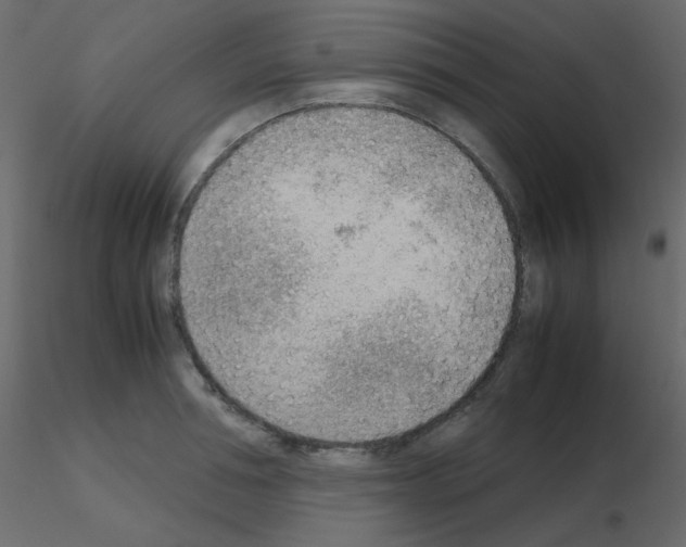 X0000115780994200912241807