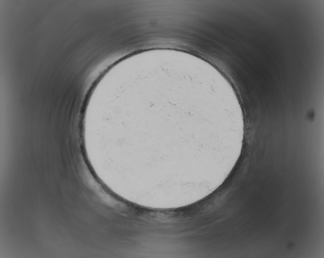 X0000115780995200912241807