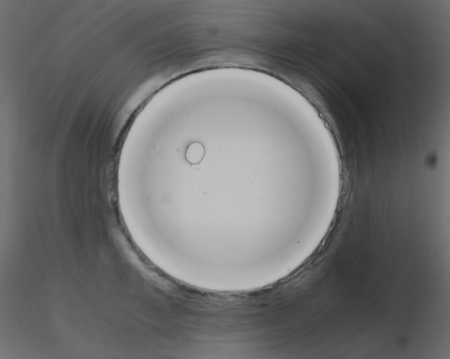 X0000115780997200912241807