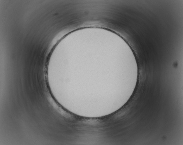 X0000115780998200912241807