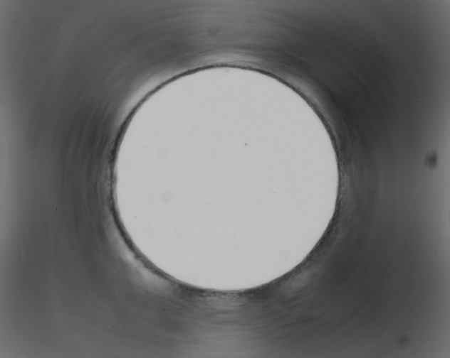 X0000115780999200912241807