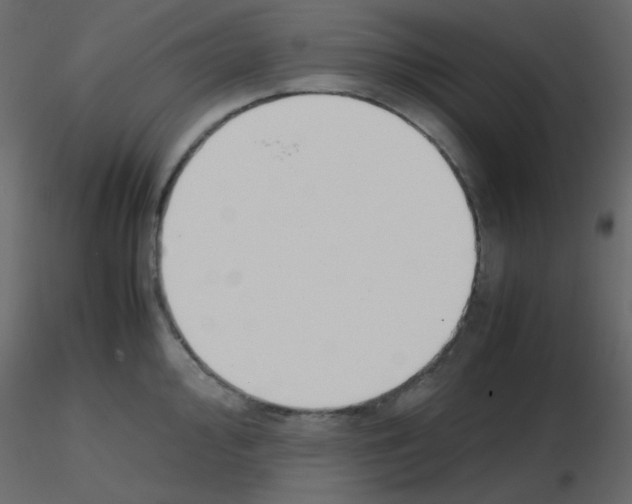 X0000115781000200912241807