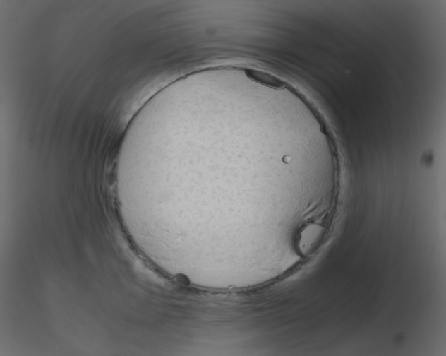 X0000115781001200912241807