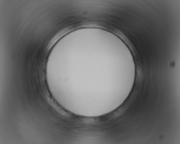 X0000115781002200912241807