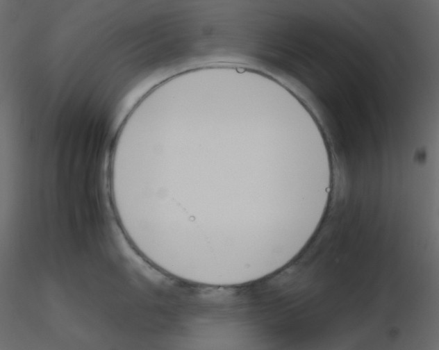 X0000115781006200912241807