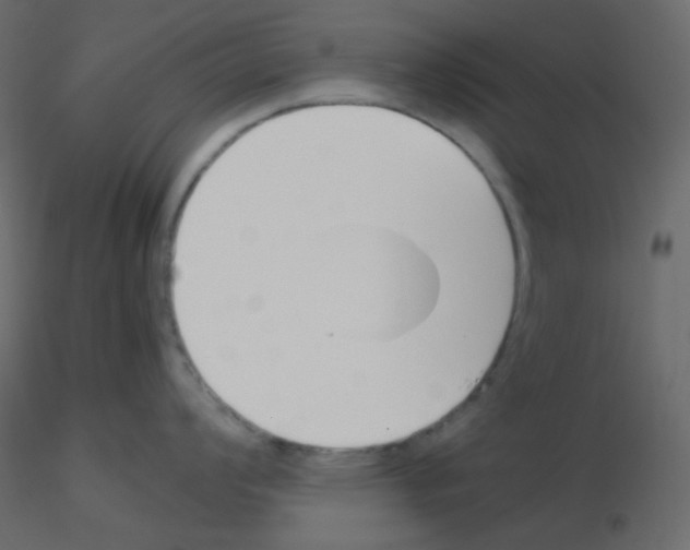 X0000115781008200912241807