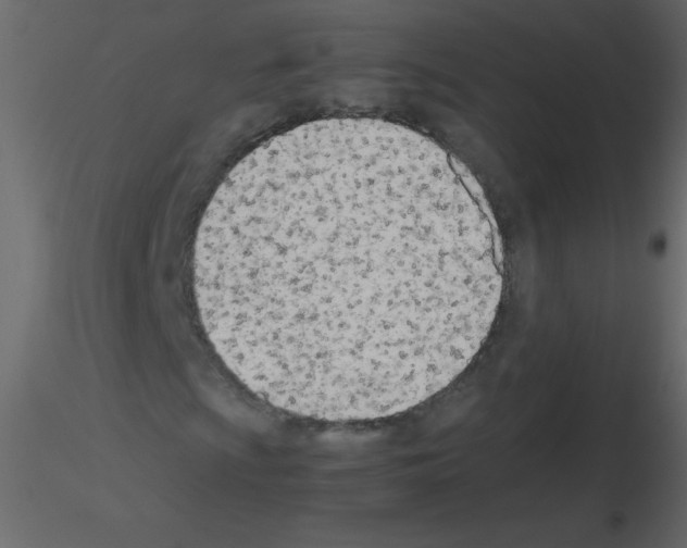 X0000115781009200912241806