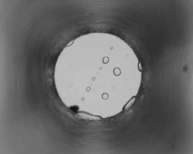 X0000115781010200912241806