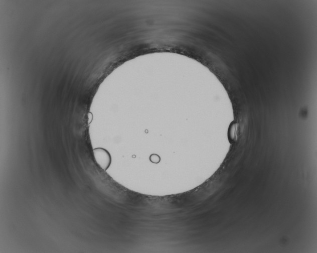 X0000115781012200912241806