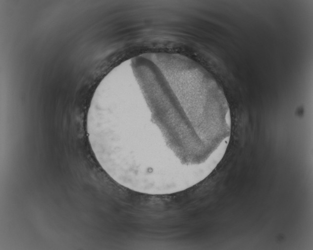 X0000115781013200912241806