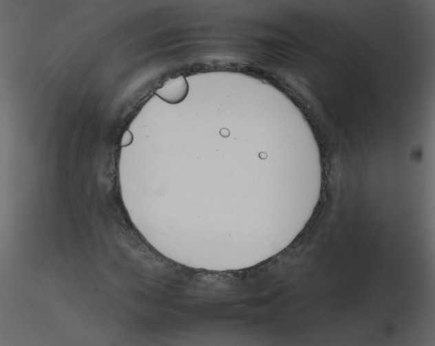 X0000115781015200912241806