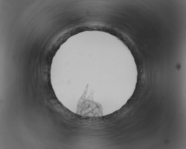 X0000115781016200912241806