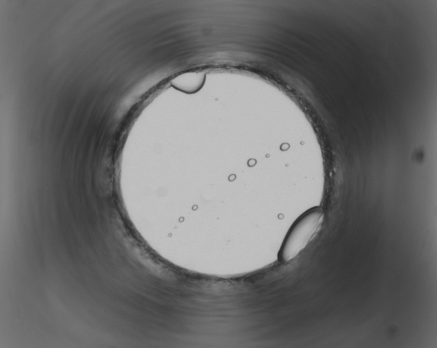 X0000115781018200912241806