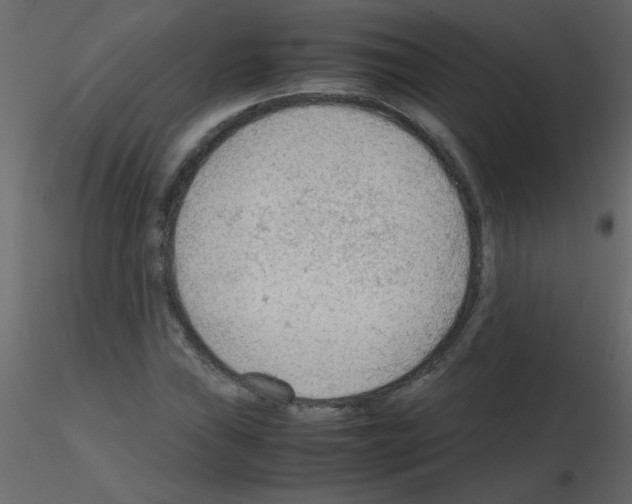 X0000115781019200912241806