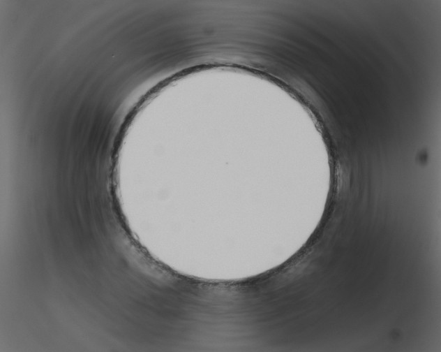 X0000115781020200912241806