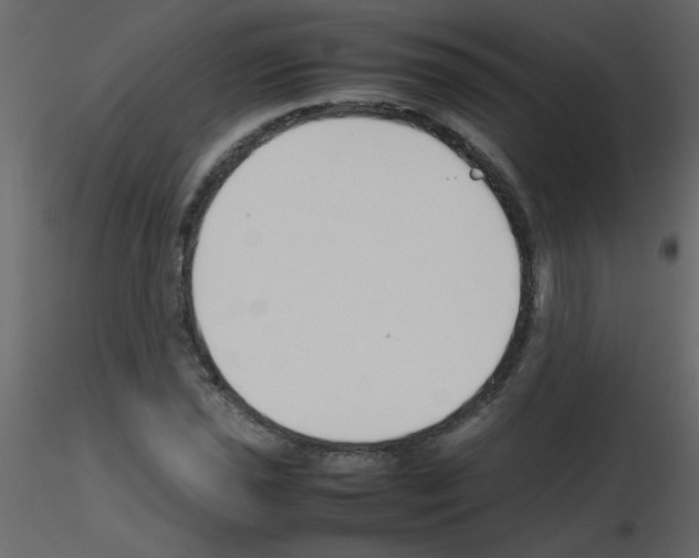 X0000115781021200912241806